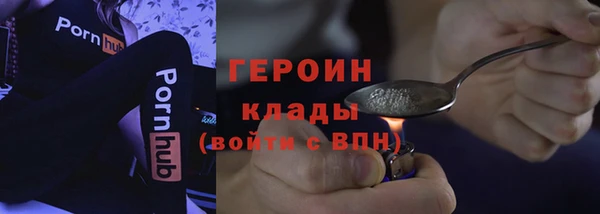 гашик Пестово
