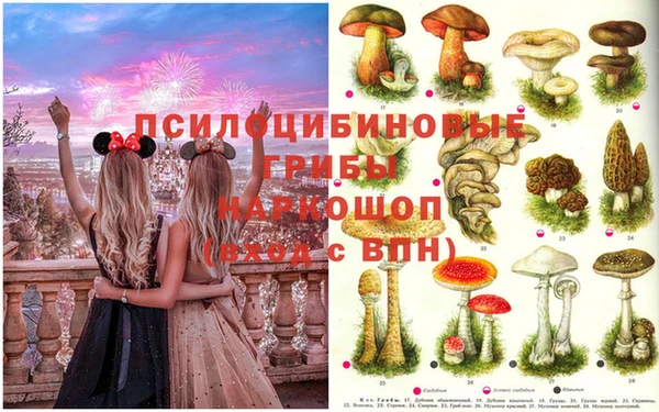 гидра Абаза