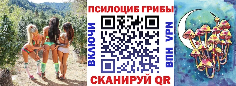 продажа наркотиков  маркетплейс какой сайт  Псилоцибиновые грибы ЛСД  Кудымкар  hydra зеркало 